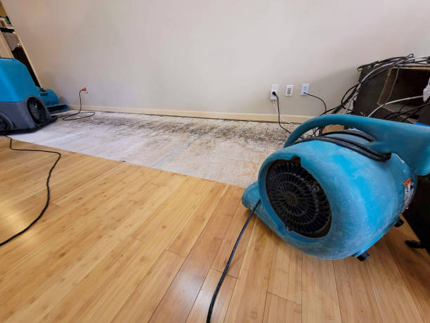 Professional Water Damage Repair technician working in Chapel Hill, NC